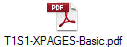 T1S1-XPAGES-Basic.pdf